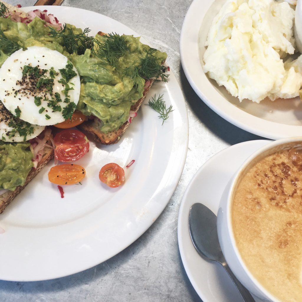 Honeybee Health // Random Shots Andee Layne