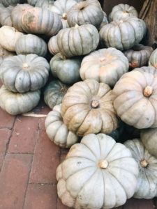 pumpkins