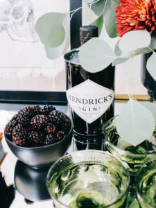 hendricks gin